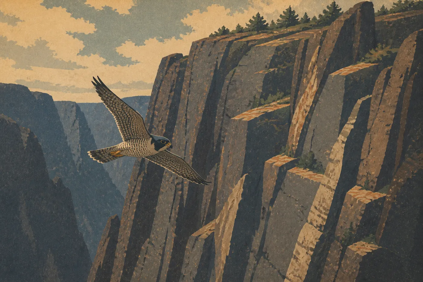 Screen-printed illustration: Peregrine Falcon (Falco peregrinus)