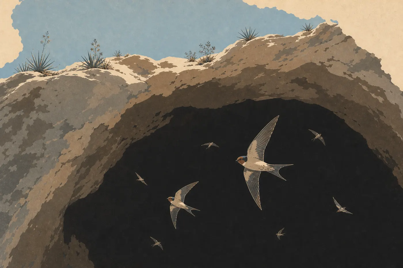 Illustration sérigraphiée : Des hirondelles des grottes tournoient devant la voûte de la Natural Entrance éclairée par le jour