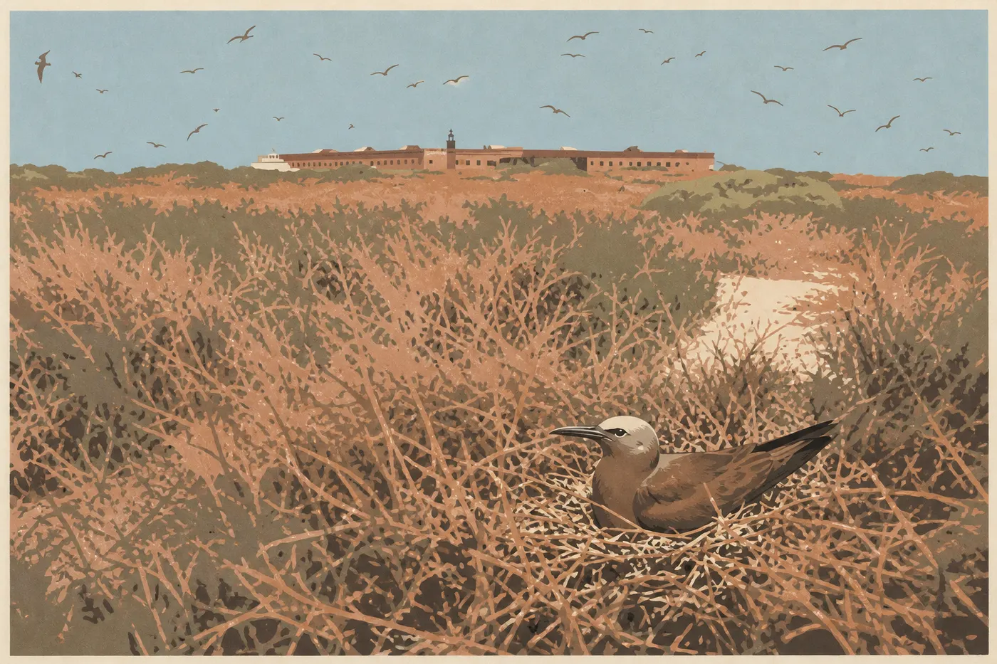 Screen-printed illustration: Migratory birds stopping in spring among the vegetation of Garden Key near Fort Jefferson.