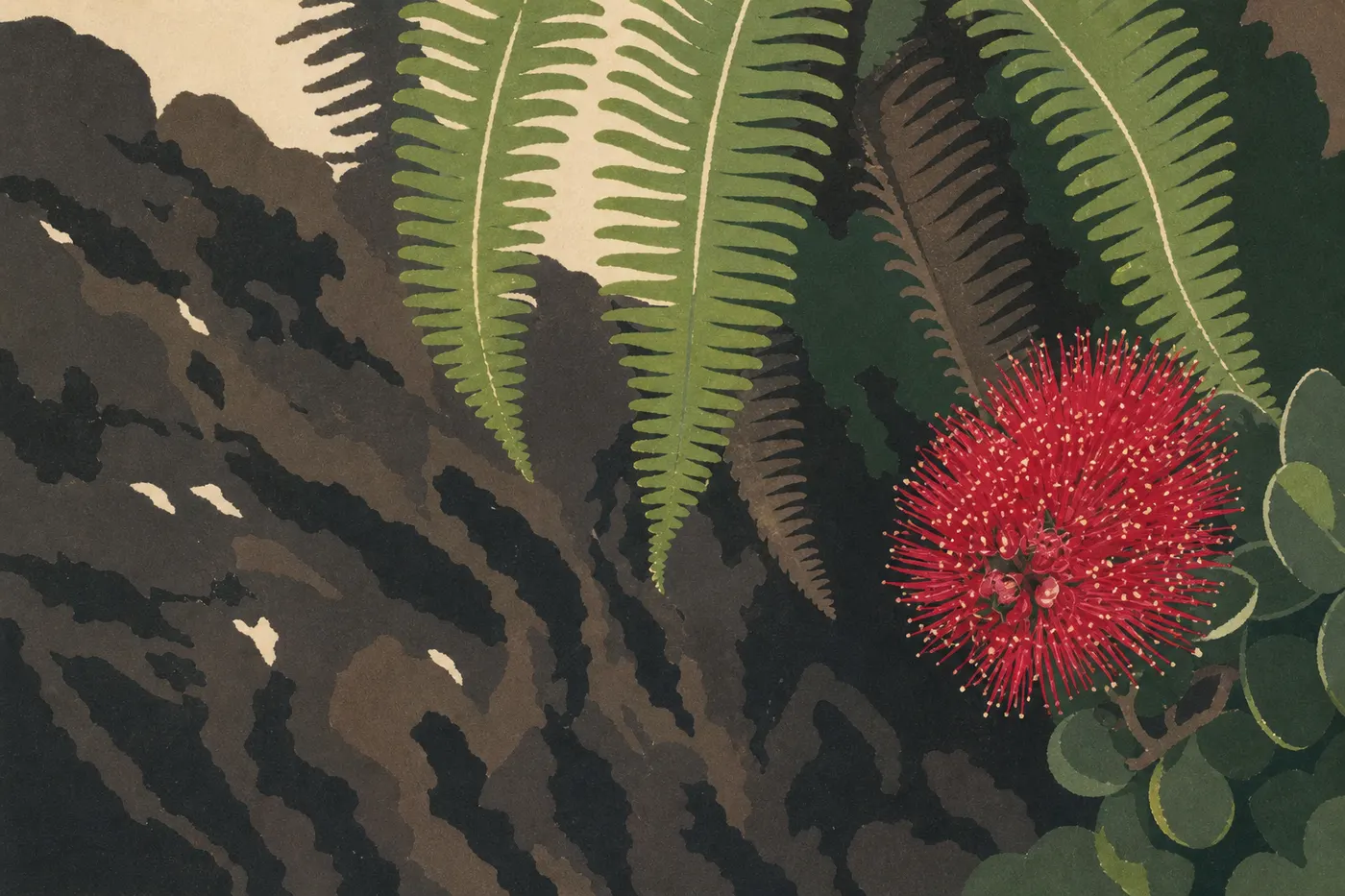 Illustration sérigraphiée : Des fleurs rouges d ʻōhiʻa lehua illuminant une coulée sombre du Kīlauea au printemps.