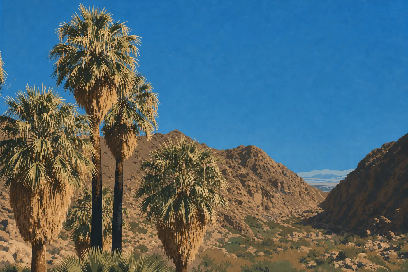 Screen-printed illustration: Southern Area (Cottonwood): Lost Palms Oasis and the Colorado Desert