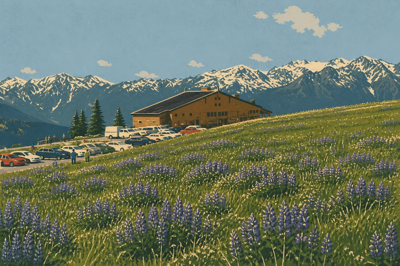 Screen-printed illustration: Hurricane Ridge meadows covered with spring wildflowers before the still-snowy ridges.