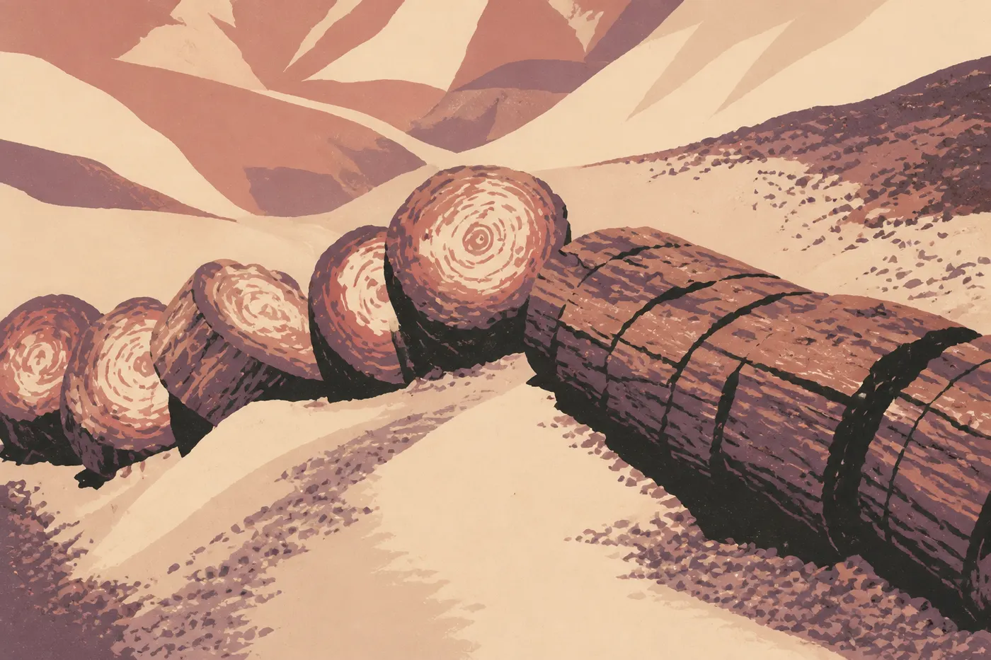 Screen-printed illustration: Multicolored petrified logs line the paved trail through Crystal Forest, before the arid badlands