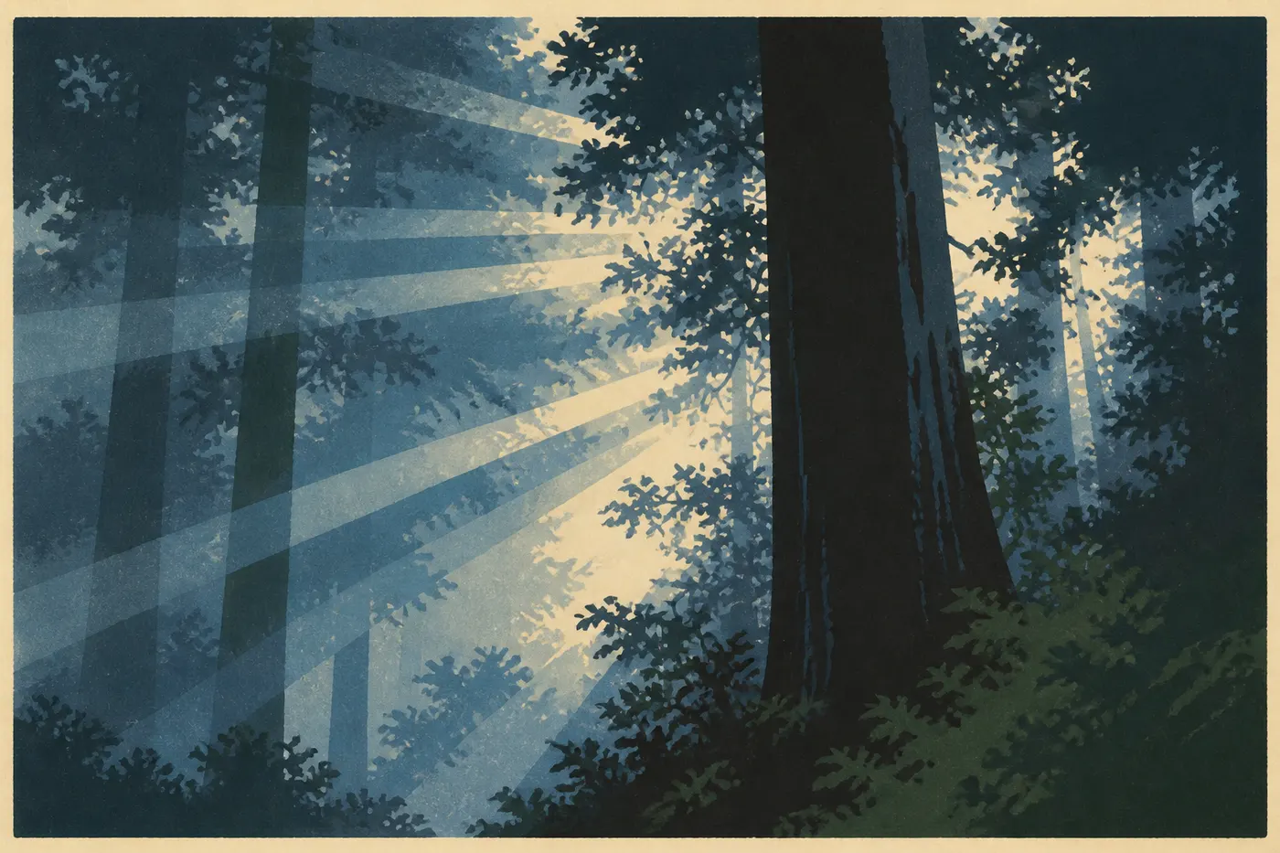 Illustration sérigraphiée : Des rayons obliques traversent la brume matinale entre les troncs verticaux d'une forêt ancienne de séquoias.