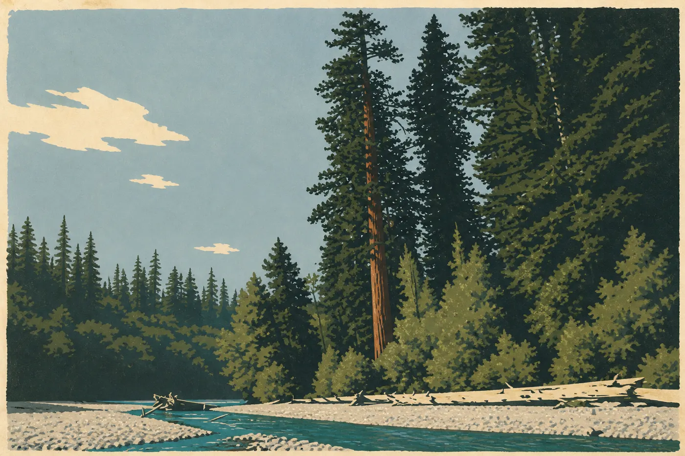 Illustration sérigraphiée : Le Tall Trees Grove dévoile ses immenses séquoias côtiers depuis un sentier ombragé près de Redwood Creek.