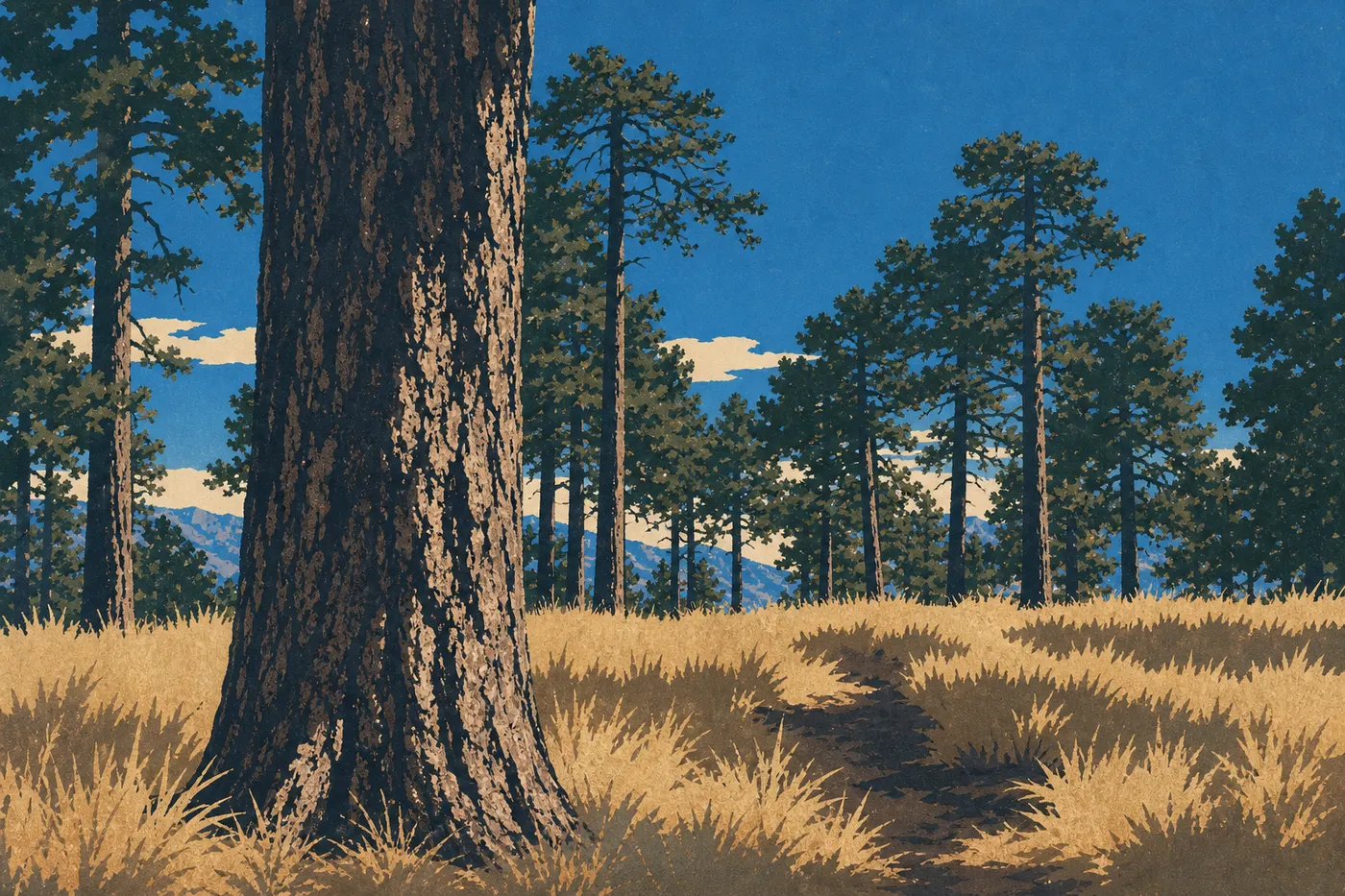 Screen-printed illustration: Golden grasses and autumn foliage surround the pines on the heights of Mica Mountain.