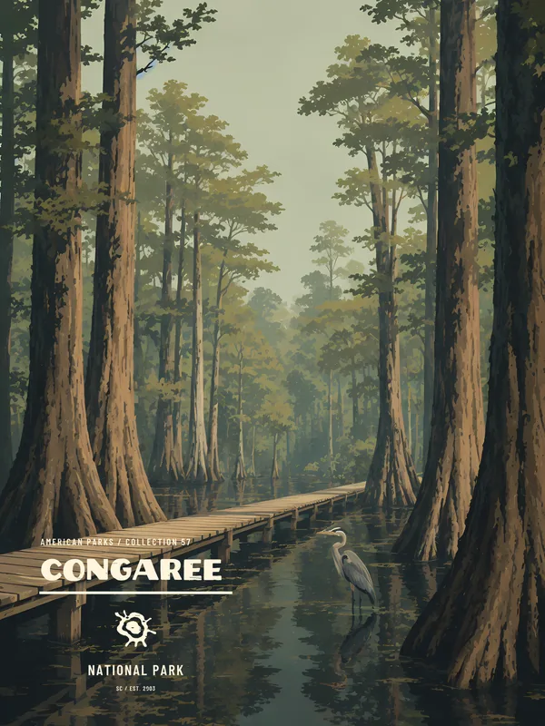 Congaree National Park Poster