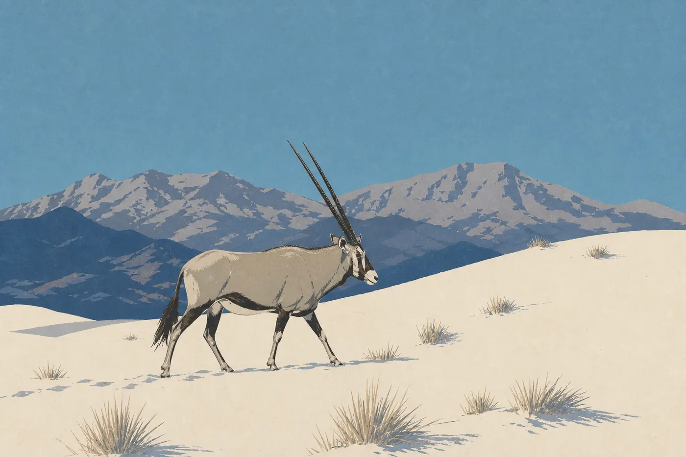 Illustration sérigraphiée : Un oryx du Cap aux longues cornes traverse les dunes avec les montagnes en arrière-plan.