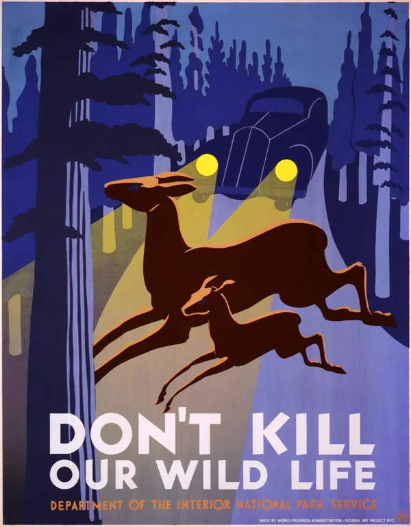 Don't kill our wild life, affiche WPA, 1936-1940