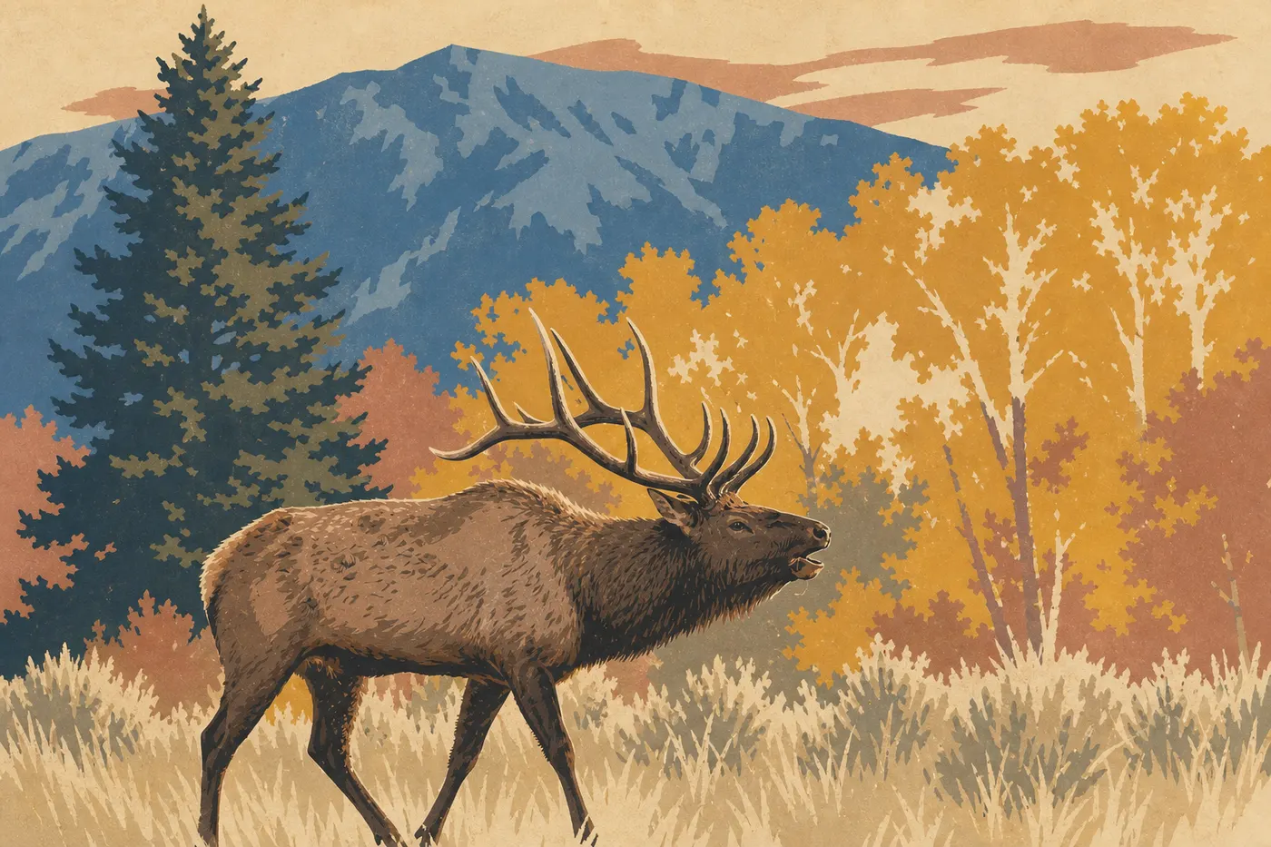 Illustration sérigraphiée : Wapiti mâle aux grands bois pendant le brame d'automne